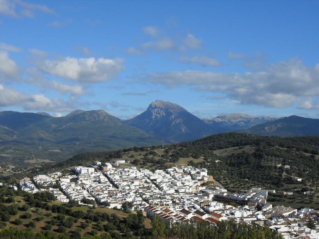 Casa Las Lomas Prado Del Rey Rom bilde